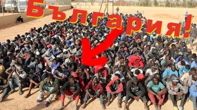 Истината за имигрантите в България! - 10.3.2024