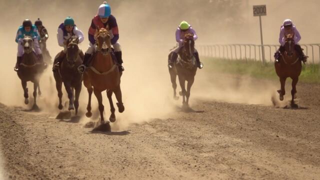 Cheltenham Festival: What to look out for during the four days