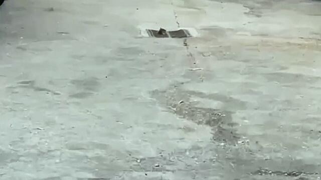 Rats and filthy kitchens at Doncaster pub at centre of string of mystery closures