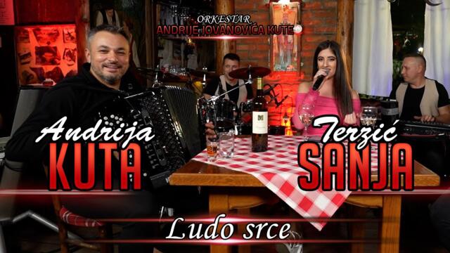 SANJA TERZIC - LUDO SRCE (COVER)