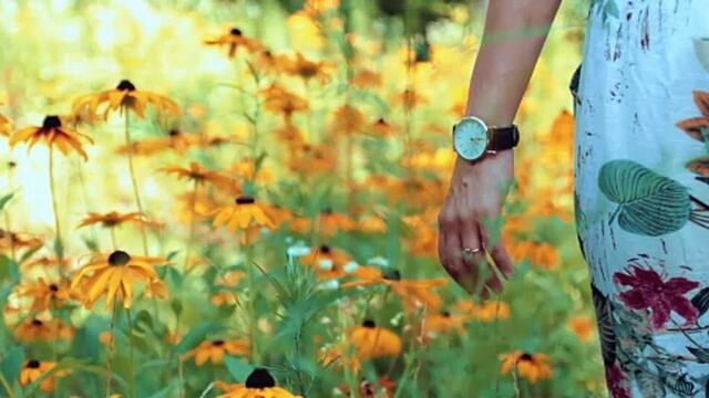 Short music for Focus