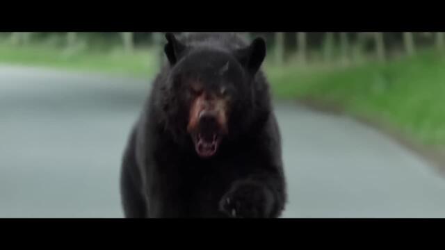 Cocaine bear trailer