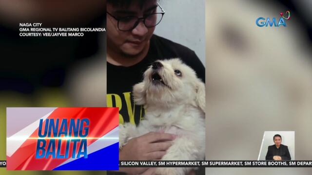 Asong nagpoprotesta tuwing pinapaliguan, kinaaliwan ng netizens | UB