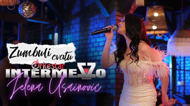 ORKESTAR INTERMEZZO - ZUMBULI CVATU (COVER 2024)