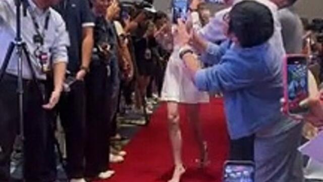 Caitlyn Stave at the My Guardian Alien presscon