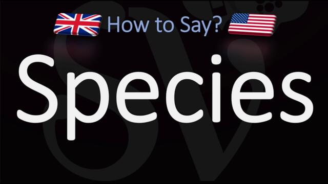 How to Pronounce Species? (CORRECTLY) Meaning & Pronunciation