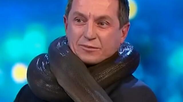 Moment snake wraps itself around TV presenter’s neck live on-air