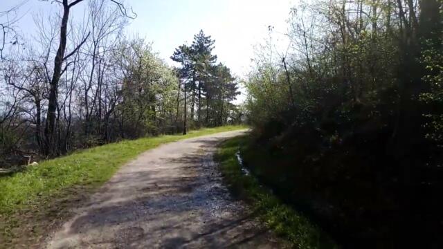 Тумбе Кафе 1 (2020) #bitola #videazabitola #битола #viral #fyp