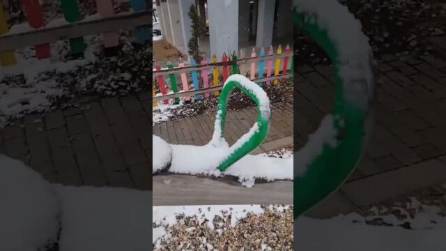 Снег Битола 20.01.2024 #снег #snow #bitola #videazabitola