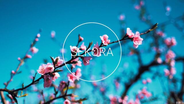 Spring Deep House - Chill DJ Mix