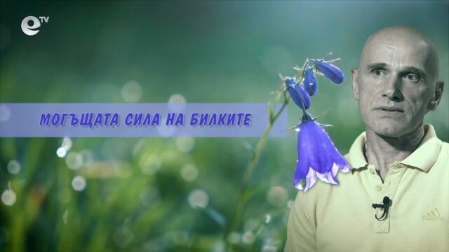 Могъщата сила на билките - Българските съкровища