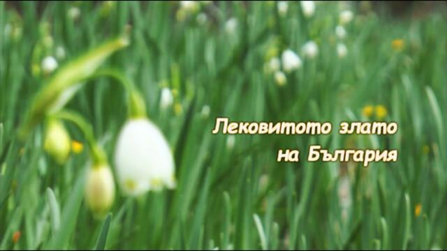 Лековитото злато на България/ The Medicinal Gold of Bulgaria