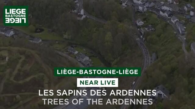 Liège-Bastogne-Liège 2024 - Trees of the Ardennes