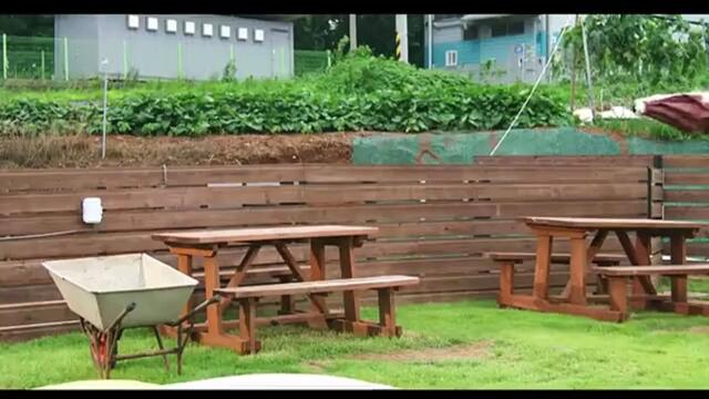 Love Is like a Cat (2024) EP.7 ENG SUB