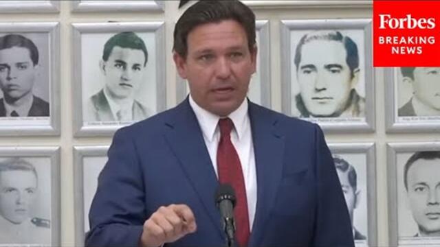 'That's Not What It Says, That's Not What It Says!': DeSantis Defends Controversial Amendment