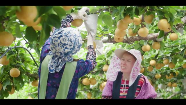 Queen of Tears (2024) Special 1 Episode 16.1