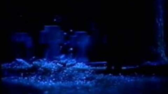 Down Low - Moonlight