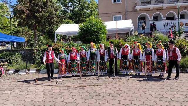 СВС "МЛАДЕЖКИ СЪРЦА - ДИАНА ИВАНОВА" - ЗАЛЮБИЛА МАЛКА МОМА ГОЛЯМ ЕРГЕН