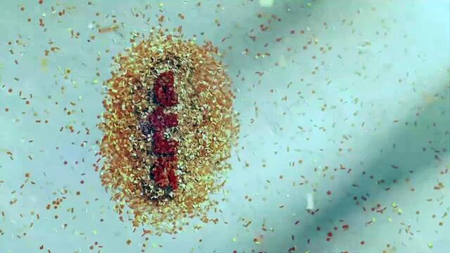 Little bird - 23 mai