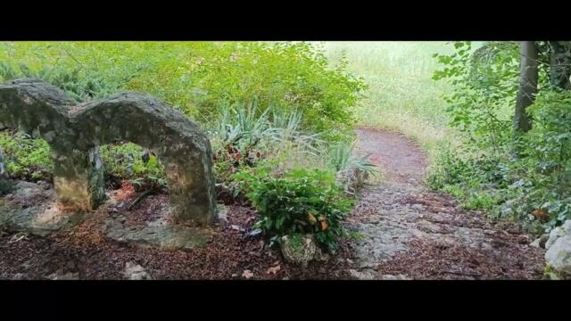 No comment / Без думи - Пламен Пасков