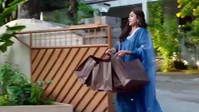 The Family Star (2024)  Hindi Movie