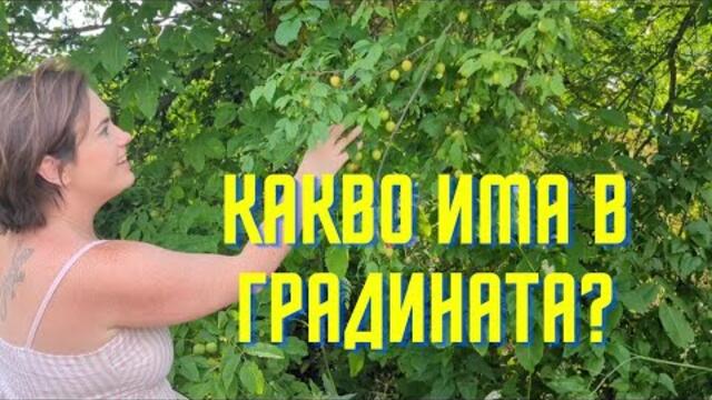 Какво Има В Градината? Учене На Български #българия #село #учеба