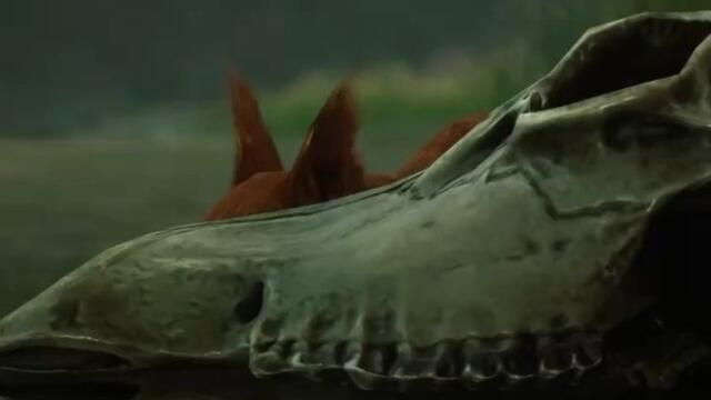 Video exclusif Dailymotion - Hogwarts Legacy - episode 03