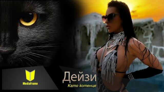 Дейзи-Като котенце / Deisy-Kato kotence 2024