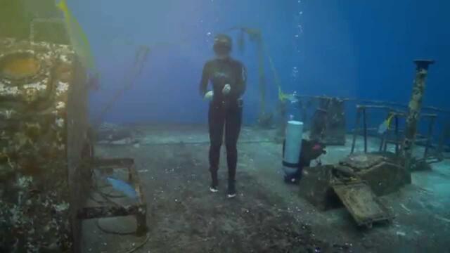 Shark Girl Trailer
