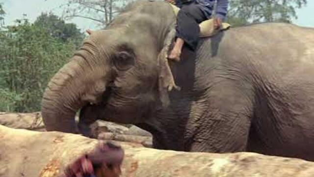 Скокът на ангела - Le saut de l'ange (1971) Франция, екшън, Бг аудио