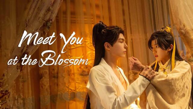 Meet You at the Blossom (2024) Ep.6 Engsub