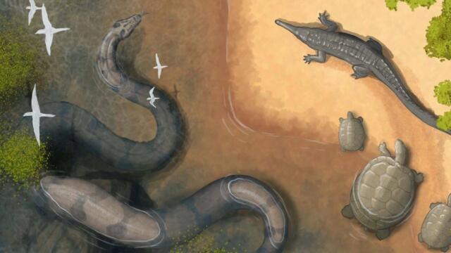 The Prehistoric Snakes That Would’ve Given Titanoboa Ophidiophobia