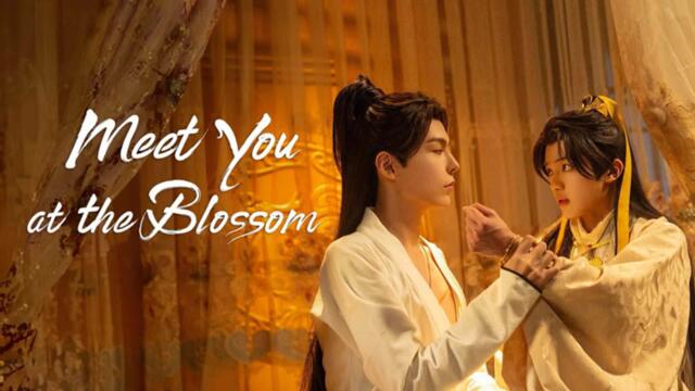 Meet You at the Blossom (2024) Ep.8 Engsub