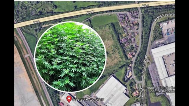 Latest headlines from the Northants Telegraph