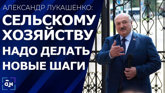 Лукашенко: Без развития села страны не будет — это основа. Панорама