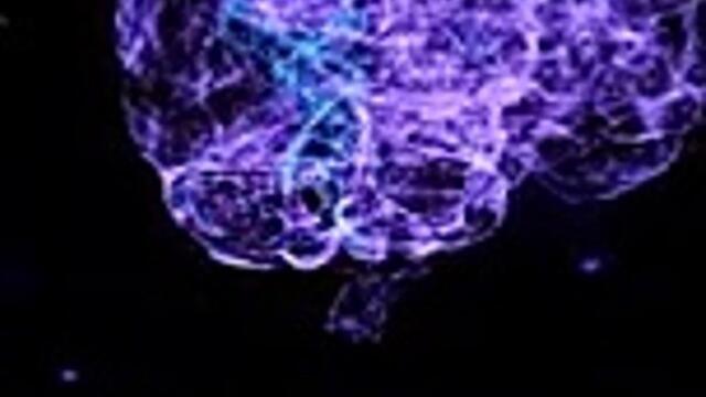 Recharge your Brain in 1 Minute _ 8D music of deep focus and relaxation.