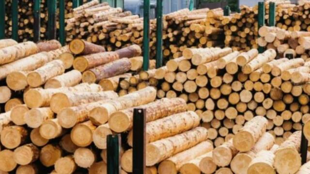 Във Финландия започна мащабна криза заради Русия