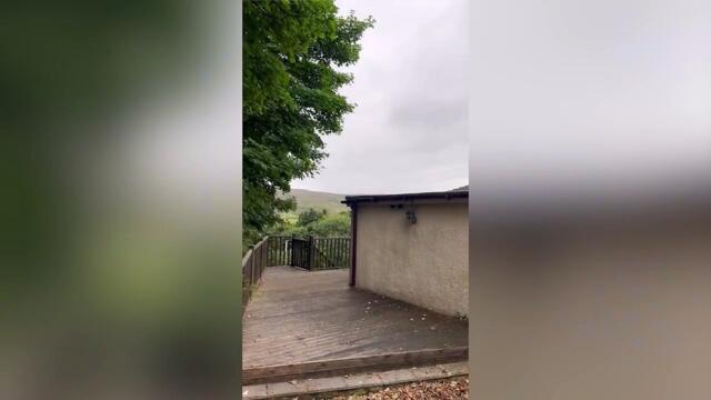 Lancashire homeowner Kristen Jackson has described the 'hilarious' moment when she found a flock of sheep walking around on her roof.