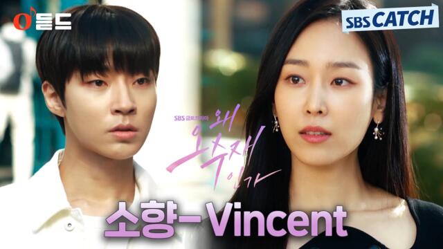 [오듣드] 소향 - Vincent (왜 오수재인가 OST Part.1) #왜오수재인가 #소향 #OST #SBSCatch