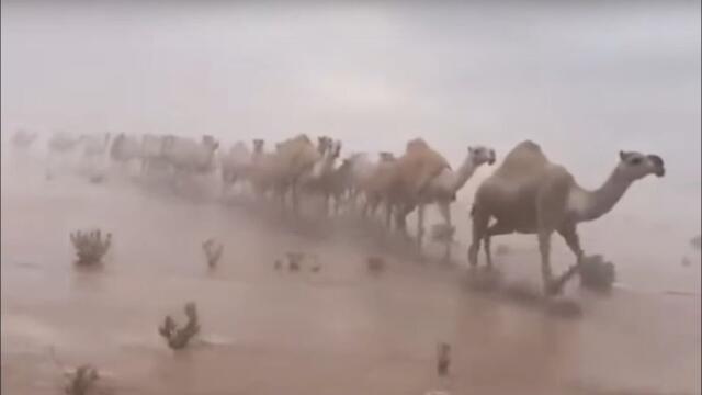 3 minutes ago: A terrible storm hits the Saudi desert north of Mecca