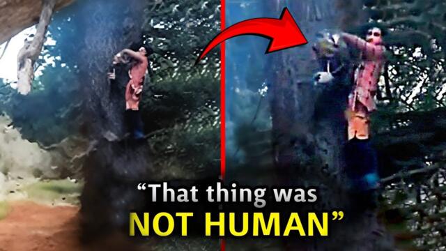 This Man Discovered In A Tree What No One Was Supposed To See