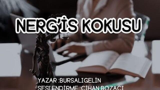 NERG'İS KOKUSU 8.BÖLÜM & SESLİ KİTAP & (BURSALI GELİN)