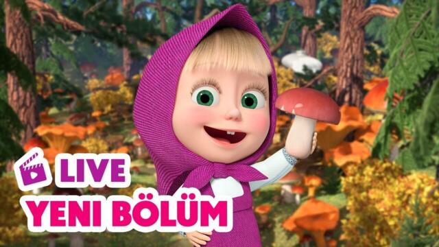 🔴 LIVE! Maşa İle Koca Ayı | 🥳 Yeni bölüm | 🍄 Mantar yağmuru ☔  | Masha and the Bear