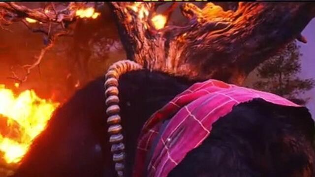 Video exclusif Dailymotion - Black Myth Wukong- partie 33