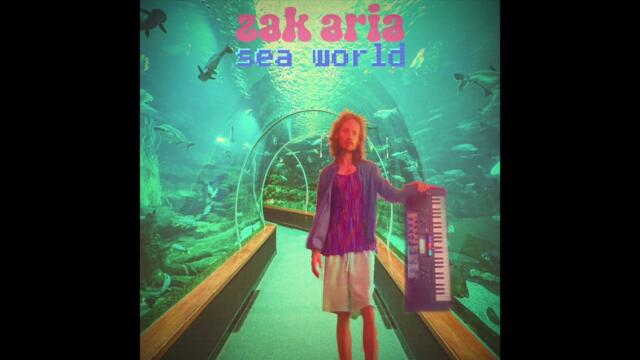 zak aria sea world (full album) 🐋🐬🐠