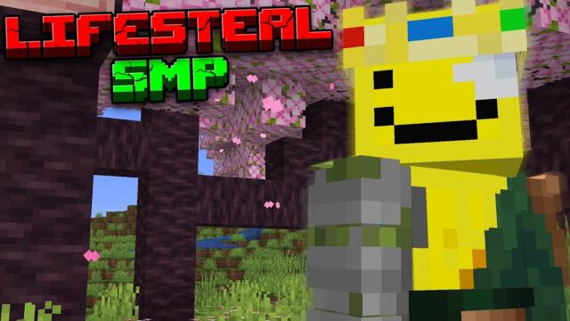 Trying To Stay Alive On Lifesteal SMP ***