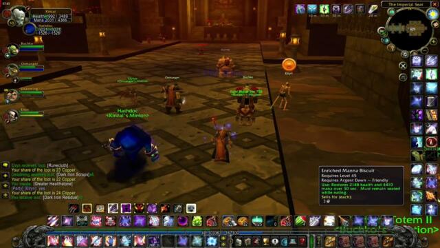 Killing the last BRD Boss / WOW Classic + Drops