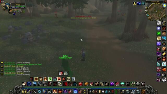 WOW CLASSIC - HOW to AOE GRIND with HUNTER ?