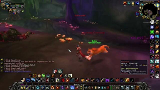 WOW Classic - Killing Elite rare spawn Dessecus