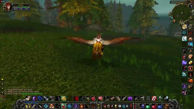 Proof that flying mounts exist in classic